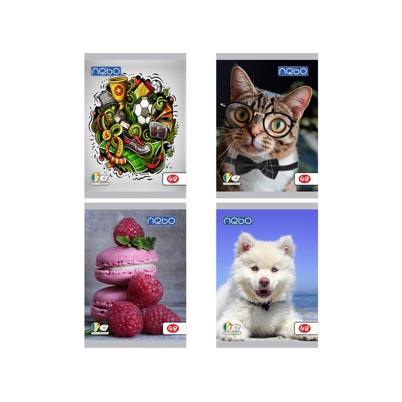 Caiet A5 48 file, foi veline, diverse modele - imagine 11